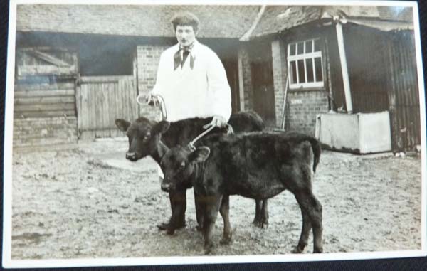 RB: On East Harting Farm, 1950
