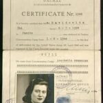 IG: Certificate from Dachau confirming IG had been in the concentration camp, 1946. "there is my number, my prisoner number on that"
