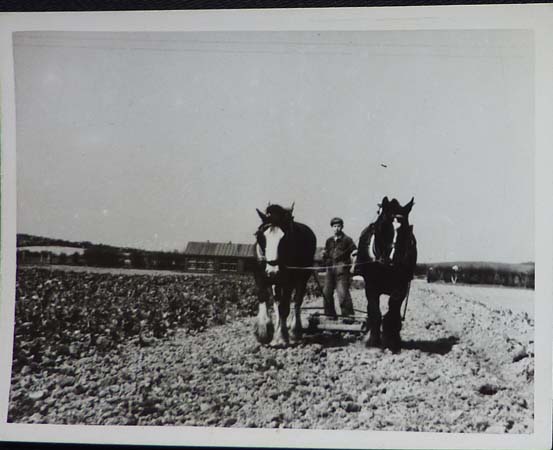 WK: Ploughing the fields at Tralee Farm or Goldin’s Farm