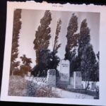EB: "The mass grave of where my father was laid to rest. It is a mass grave of all the victims of Kópháza. It is in the Jewish cemetery in Budapest."