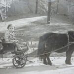 GB: With his cousin Paul on a small carriage in the zoo, Budapest, ca 1940