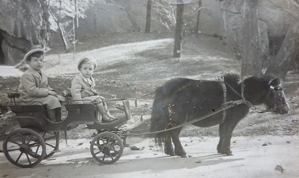GB: With his cousin Paul on a small carriage in the zoo, Budapest, ca 1940